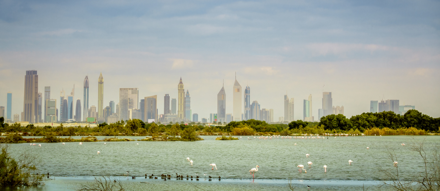 Ras Al Khor