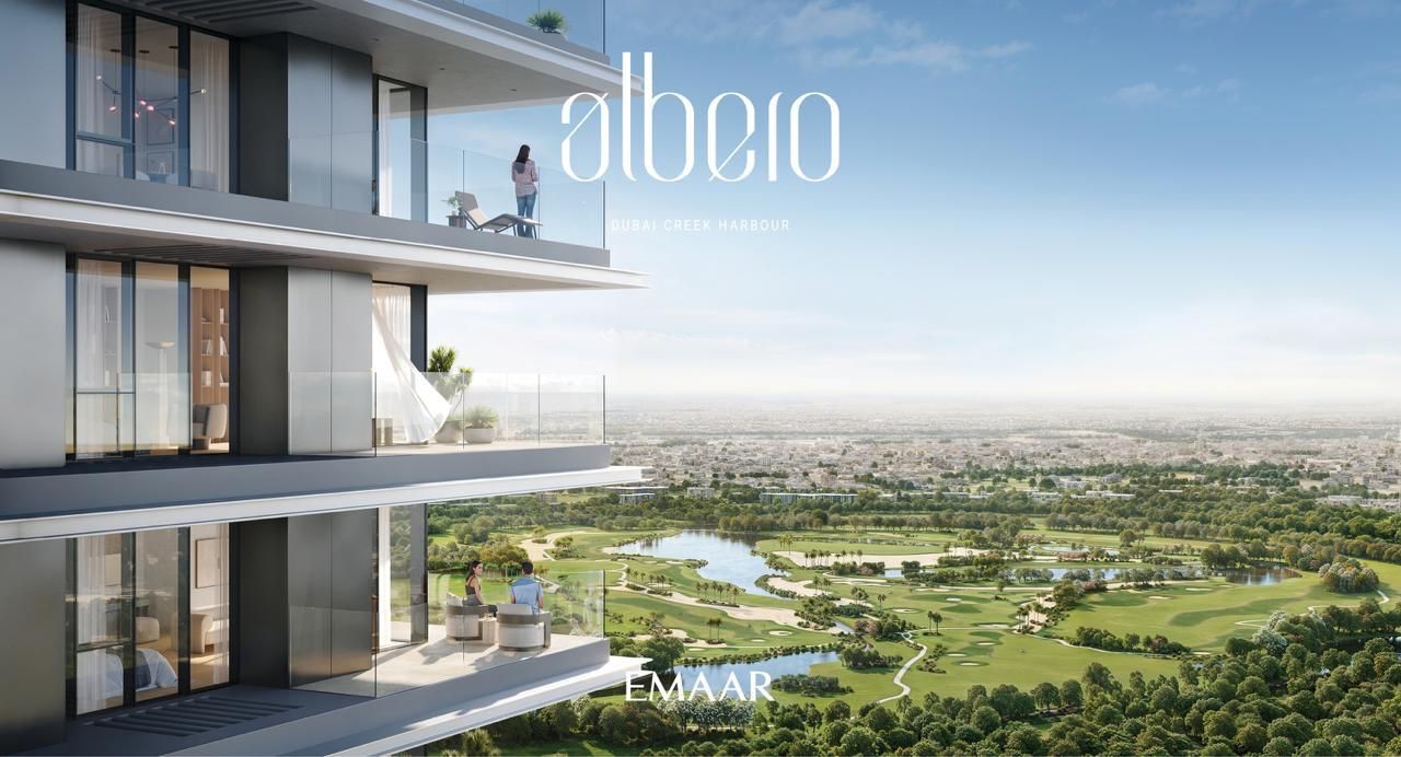 Albero preview 3